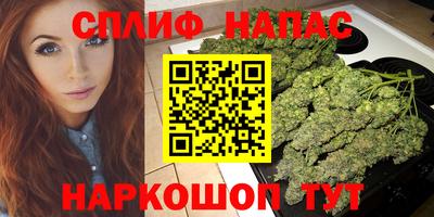 меф Гатчина