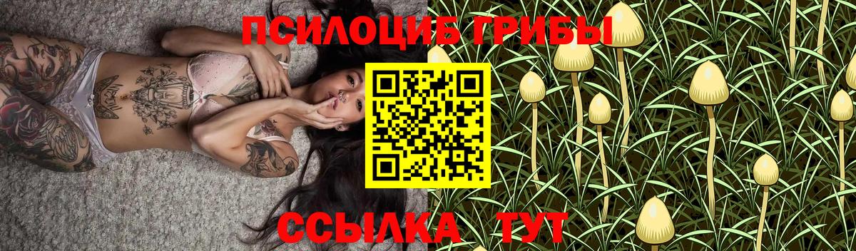 Донецк  Галлюциногенные грибы прущие грибы  Вход с VPN 