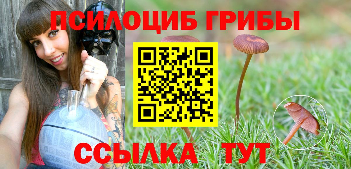 Галлюциногенные грибы Magic Shrooms Донецк